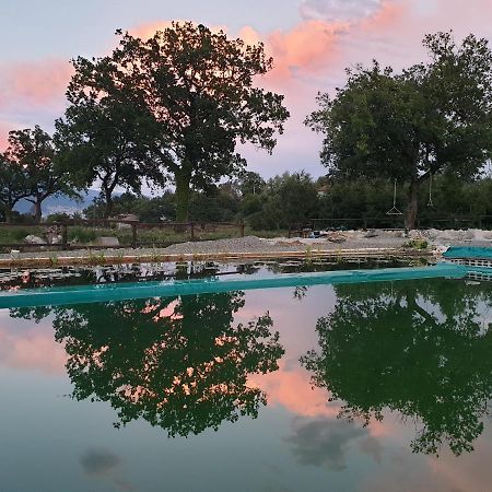 Agriturismo Albero Del Miele Villa San Rufo Bagian luar foto
