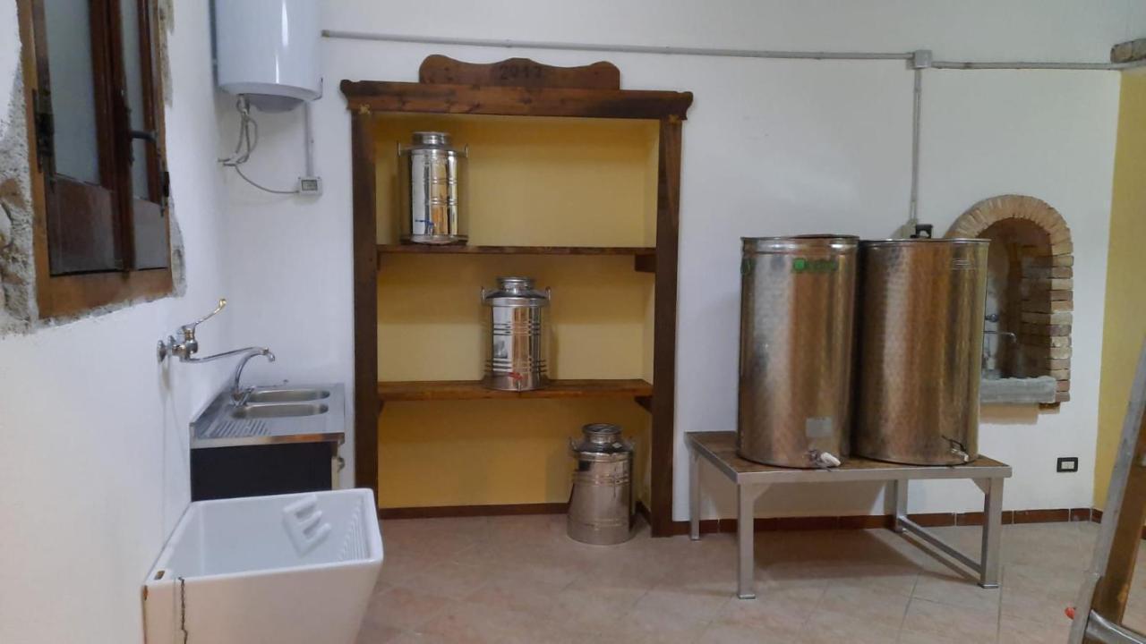 Agriturismo Albero Del Miele Villa San Rufo Bagian luar foto