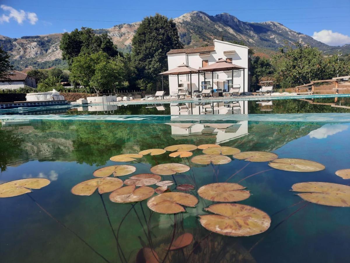 Agriturismo Albero Del Miele Villa San Rufo Bagian luar foto