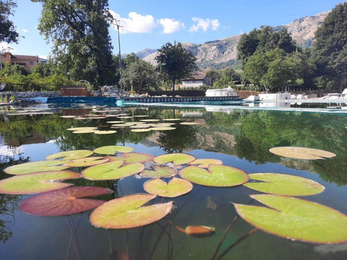 Agriturismo Albero Del Miele Villa San Rufo Bagian luar foto